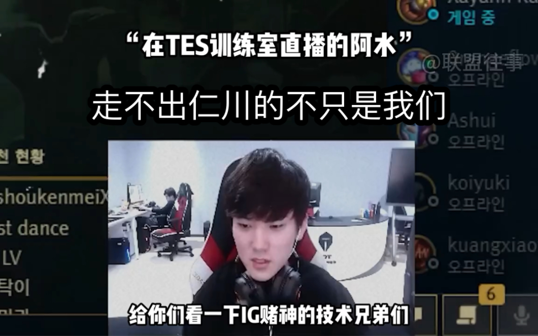 华体会APP包含TES前途光明！，TheShy新星锐不可当表现突出热度持续攀升的词条